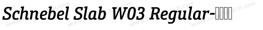 Schnebel Slab W03 Regular字体转换